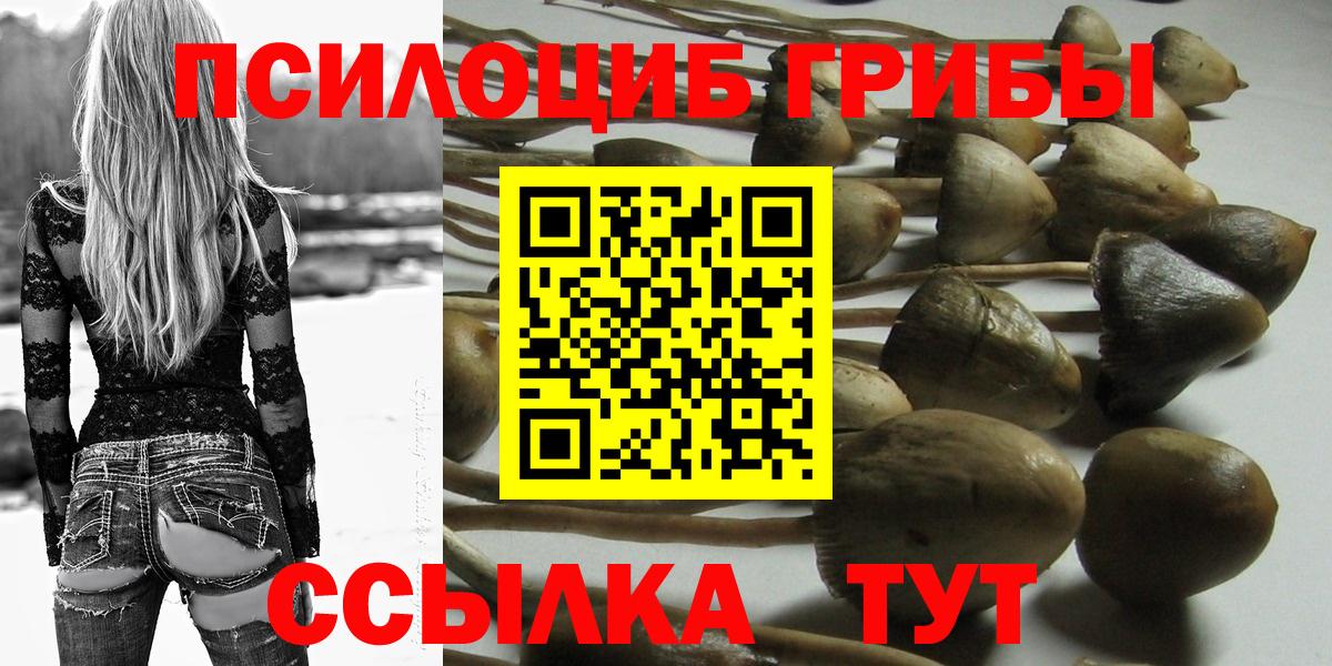 Галлюциногенные грибы Magic Shrooms Аргун
