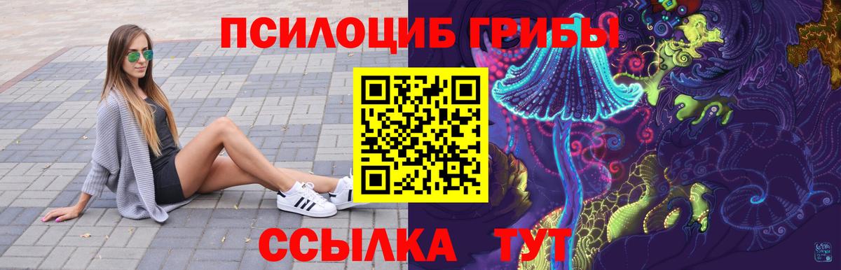 Галлюциногенные грибы ЛСД  купить наркоту  Аргун  Галлюциногенные грибы мицелий  Вход с VPN 